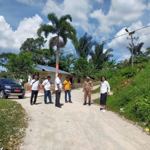 Camat Laguboti Meninjau Pelebaran Badan Jalan dan Pengaspalan Jalan di Desa Haunatas