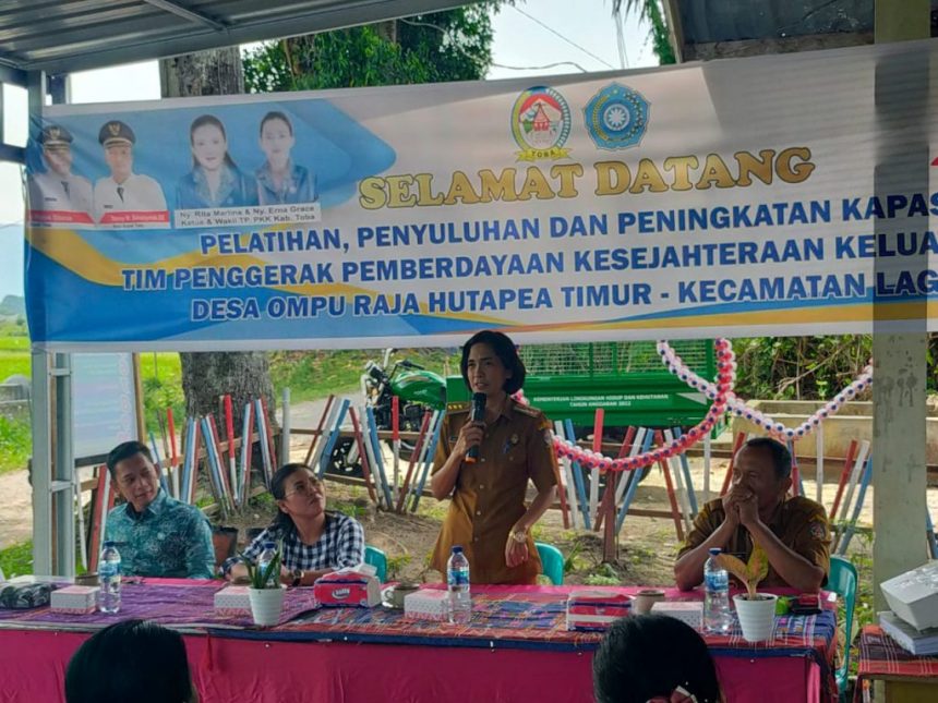 Pelatihan, Penyuluhan dan Peningkatan Kapasitas Tim Penggerak PKK.